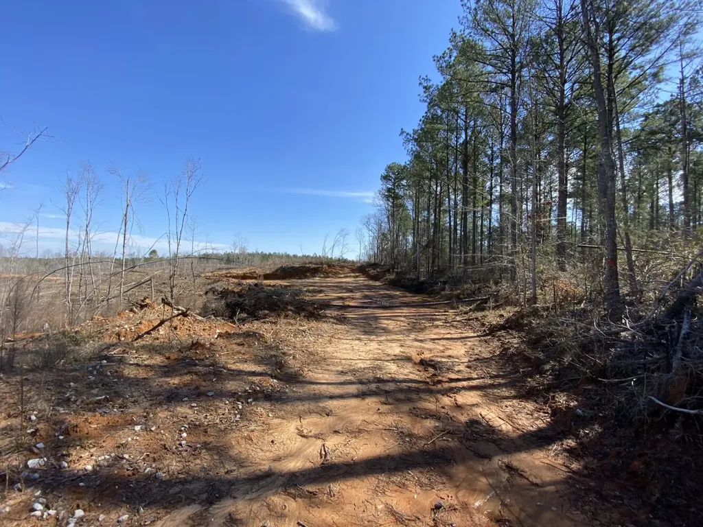 0 County Road 30 Sawyerville AL 36776