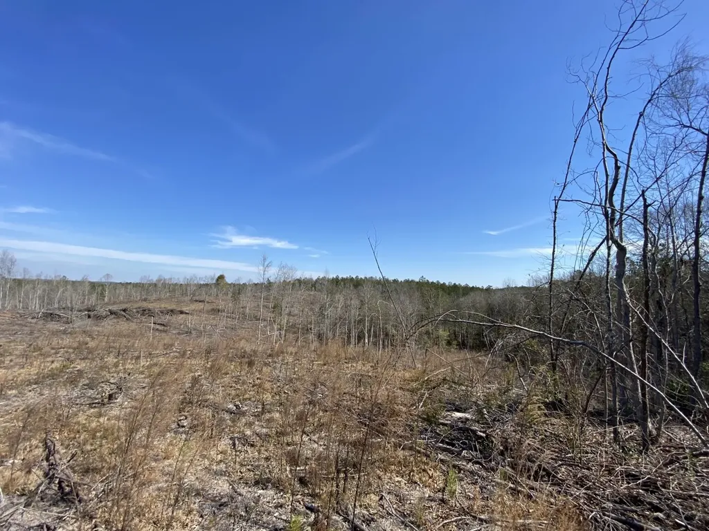 0 County Road 30 Sawyerville AL 36776