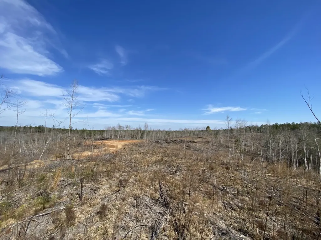 0 County Road 30 Sawyerville AL 36776