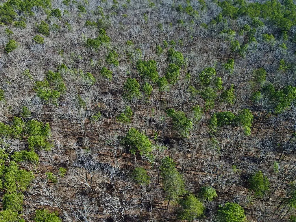 0 Weaver Road Mccalla AL 35111