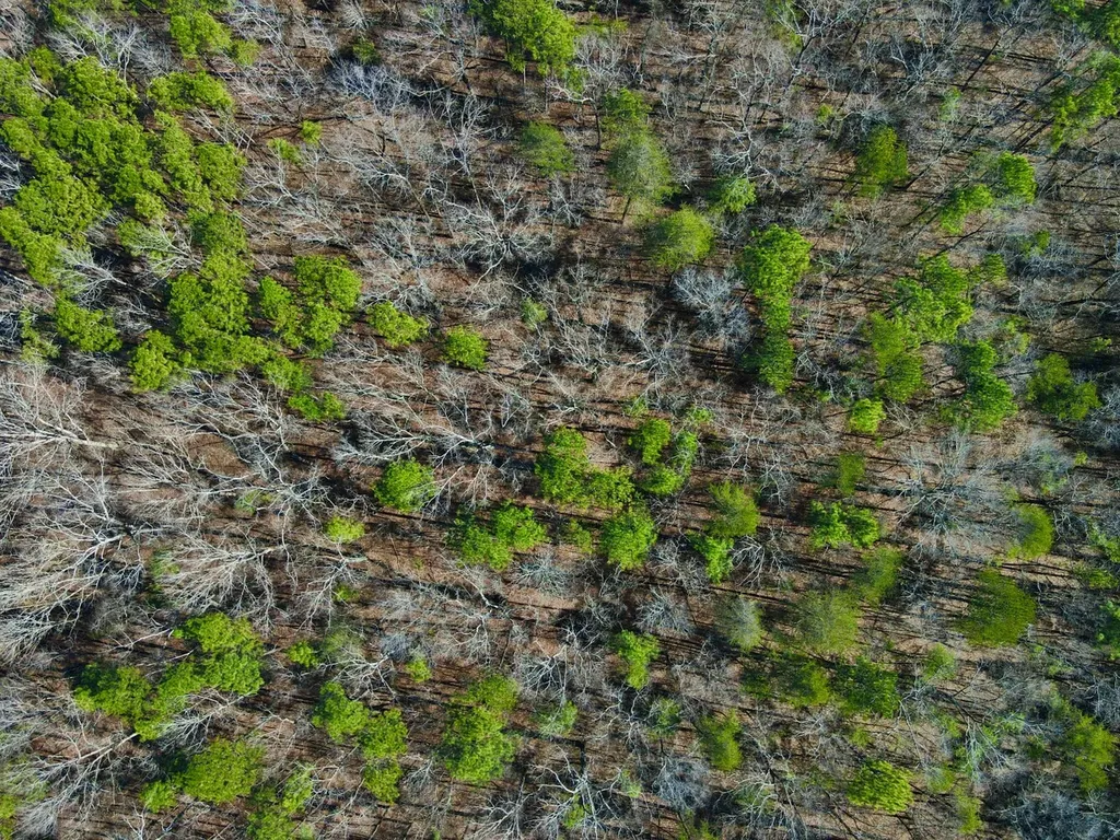 0 Weaver Road Mccalla AL 35111