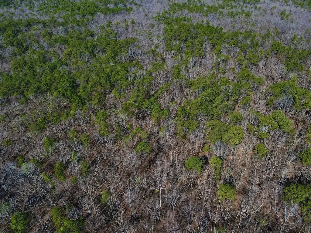 0 Weaver Road Mccalla AL 35111