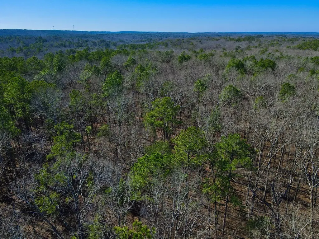 0 Weaver Road Mccalla AL 35111