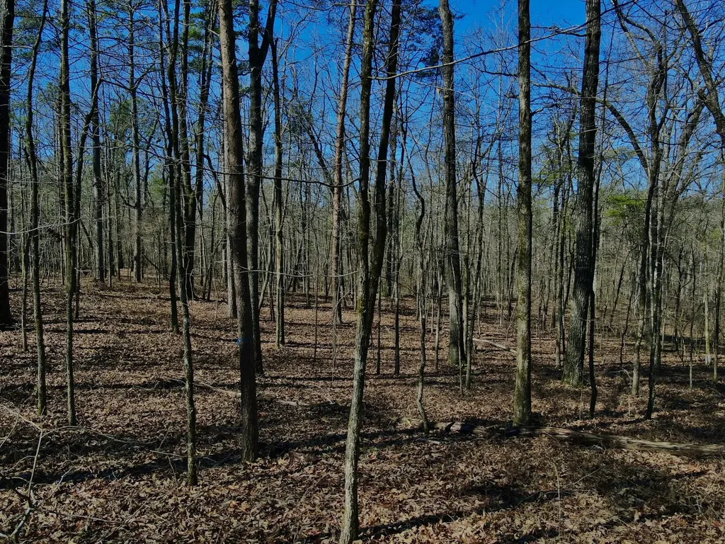 0 Weaver Road Mccalla AL 35111