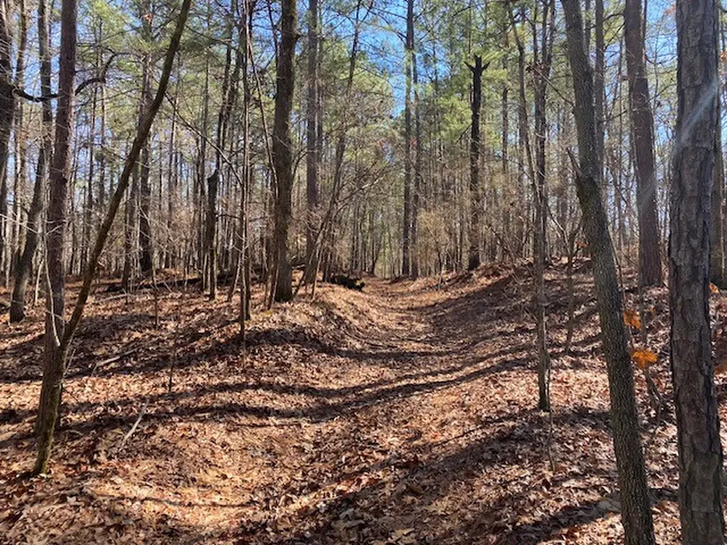 0 Weaver Road Mccalla AL 35111