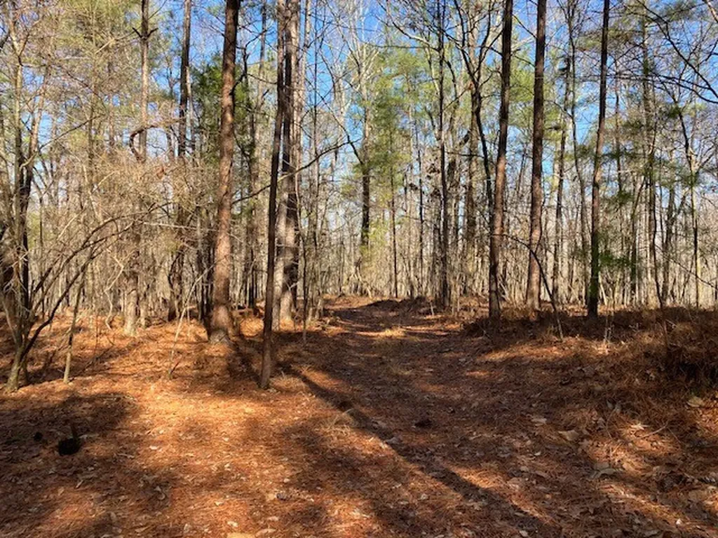 0 Weaver Road Mccalla AL 35111