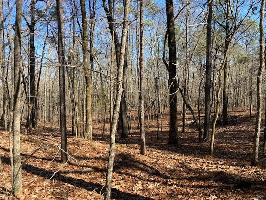 0 Weaver Road Mccalla AL 35111