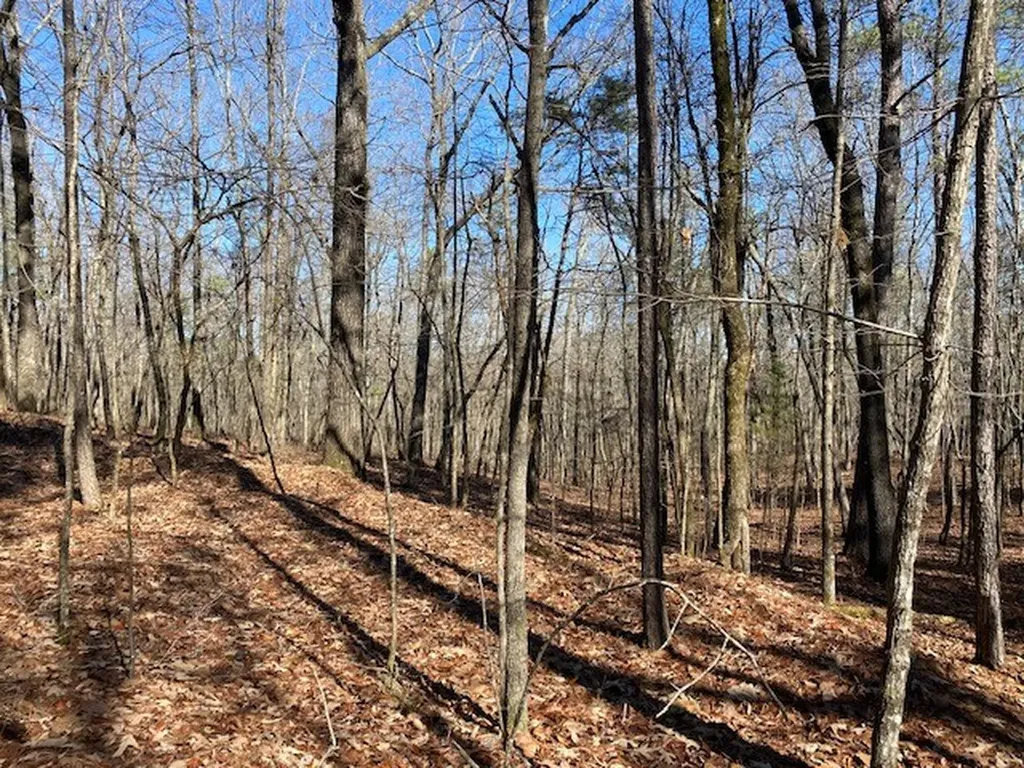 0 Weaver Road Mccalla AL 35111