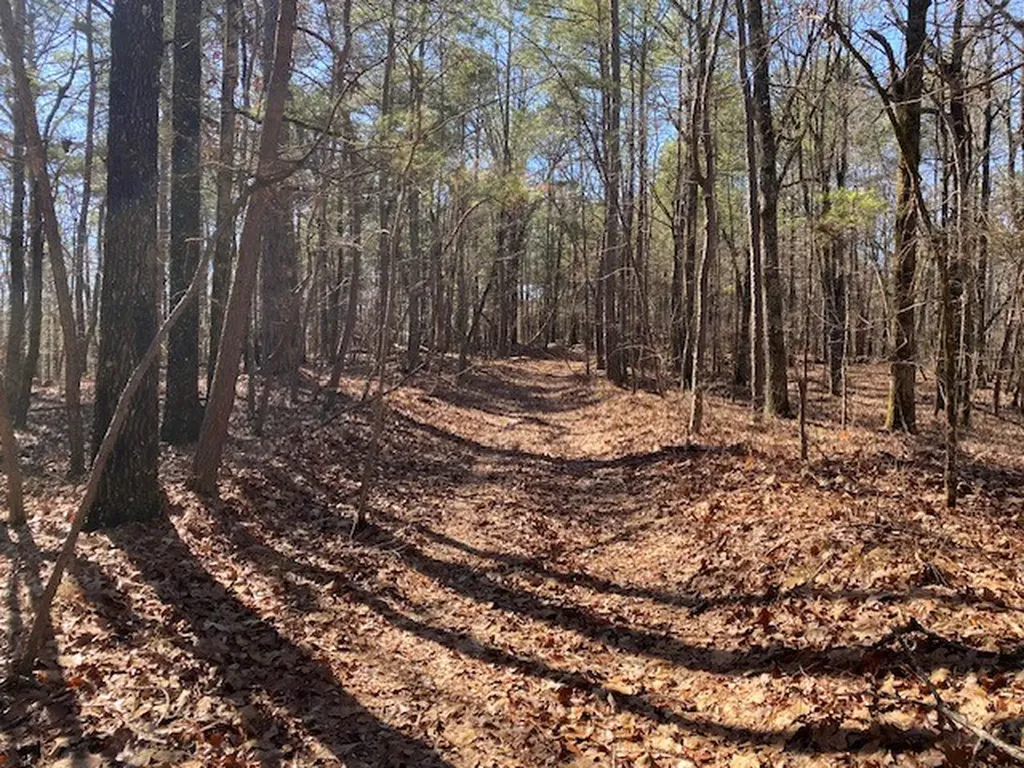 0 Weaver Road Mccalla AL 35111