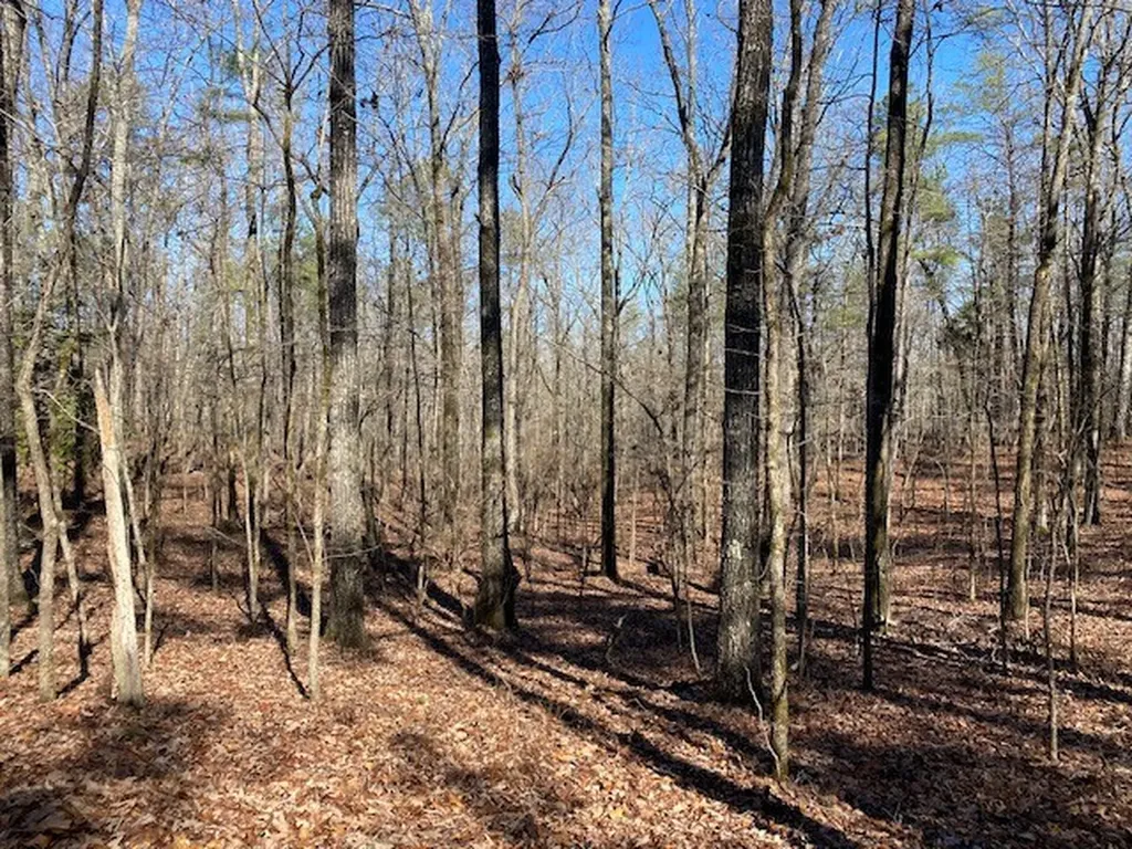 0 Weaver Road Mccalla AL 35111