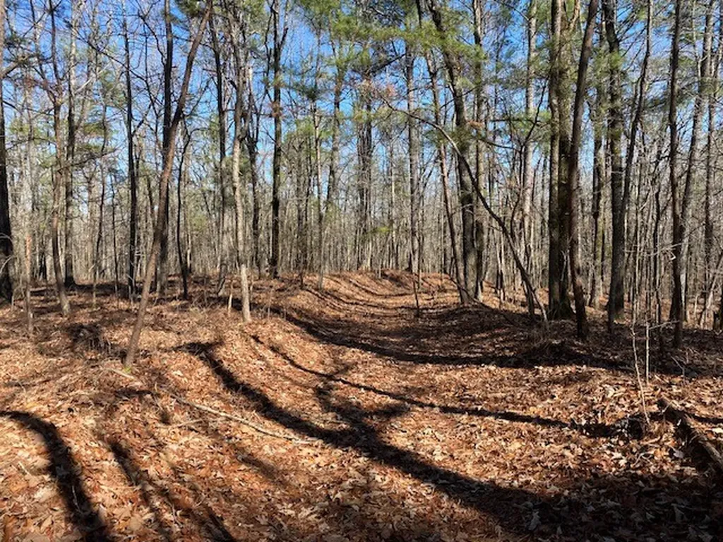 0 Weaver Road Mccalla AL 35111