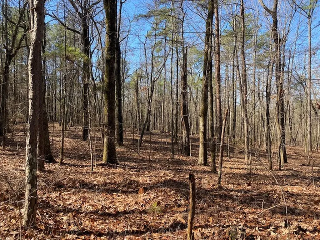 0 Weaver Road Mccalla AL 35111