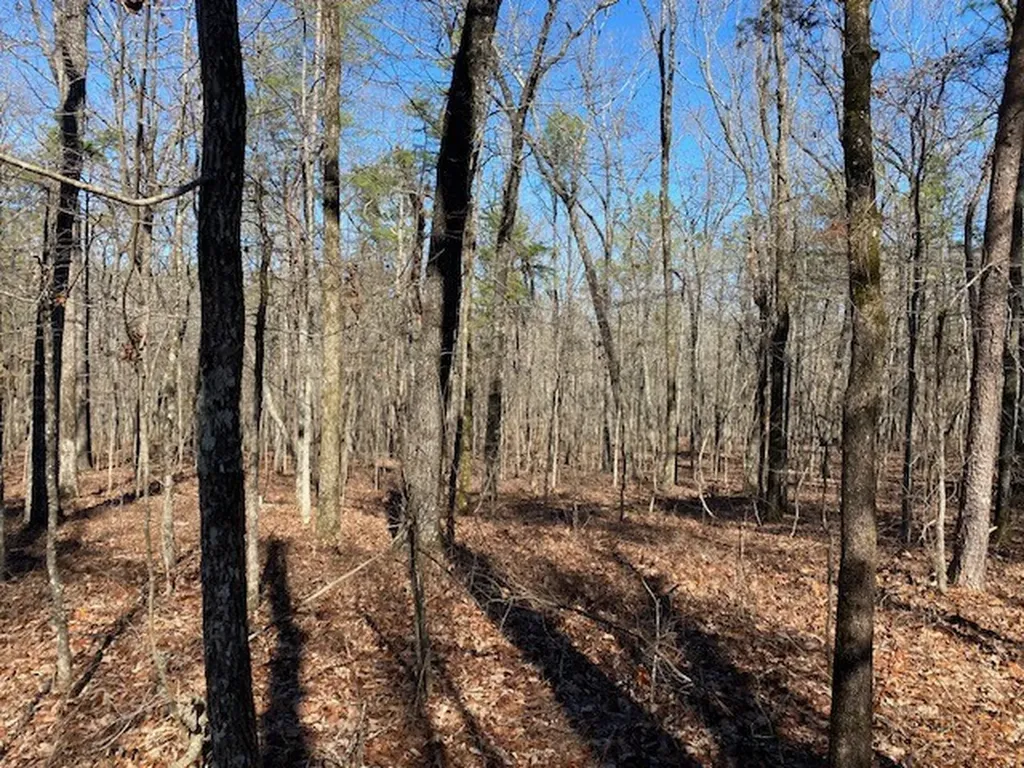 0 Weaver Road Mccalla AL 35111