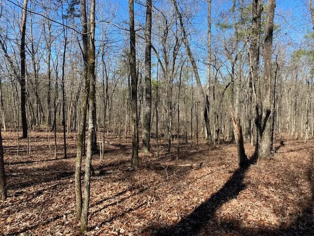 0 Weaver Road Mccalla AL 35111