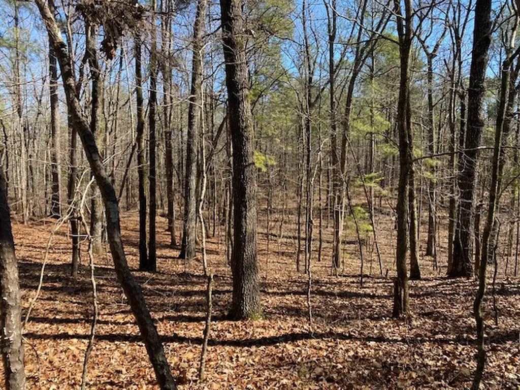 0 Weaver Road Mccalla AL 35111