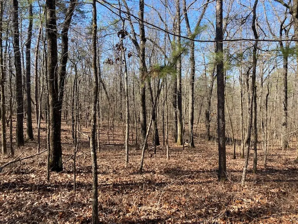 0 Weaver Road Mccalla AL 35111