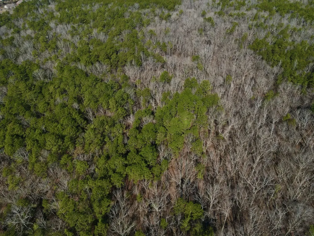 0 Weaver Road Mccalla AL 35111