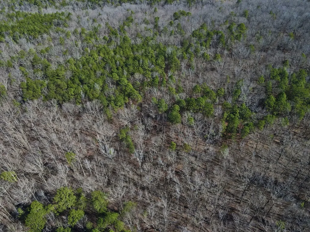 0 Weaver Road Mccalla AL 35111