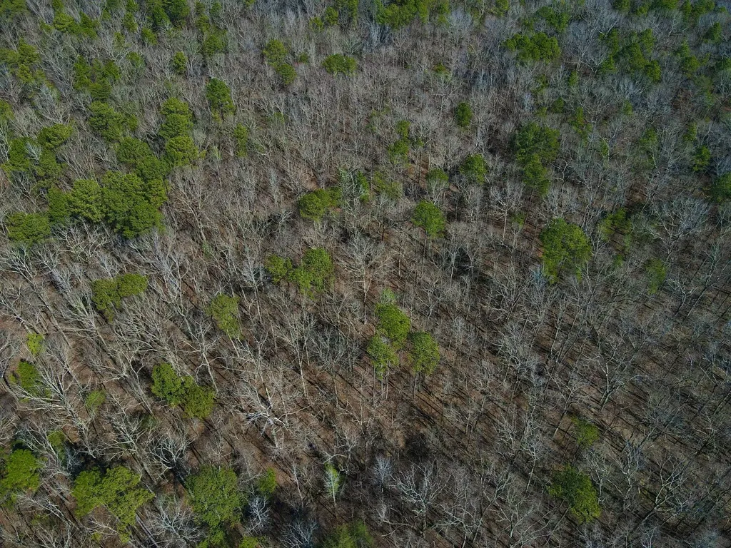 0 Weaver Road Mccalla AL 35111