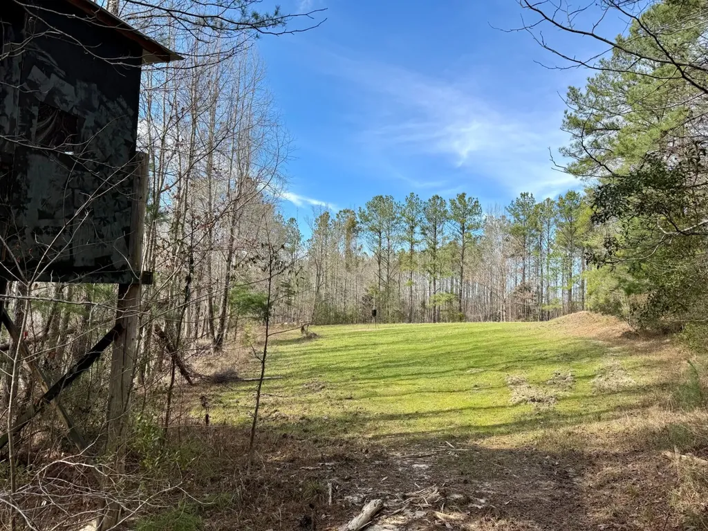 0 Pleasant Hill Road Thomasville AL 36784