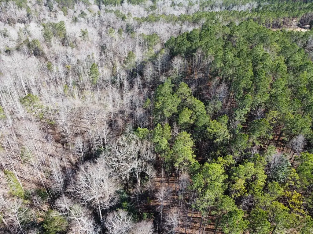 0 Pleasant Hill Road Thomasville AL 36784