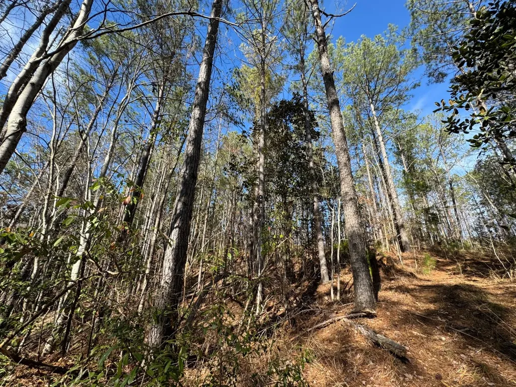 0 Pleasant Hill Road Thomasville AL 36784