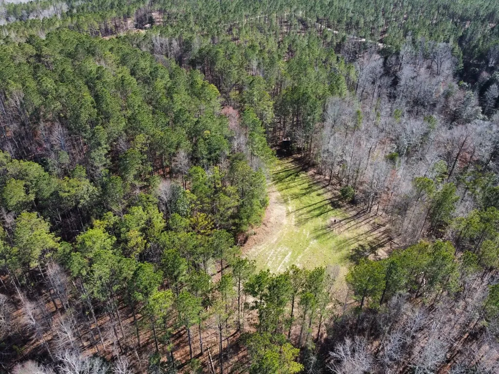 0 Pleasant Hill Road Thomasville AL 36784