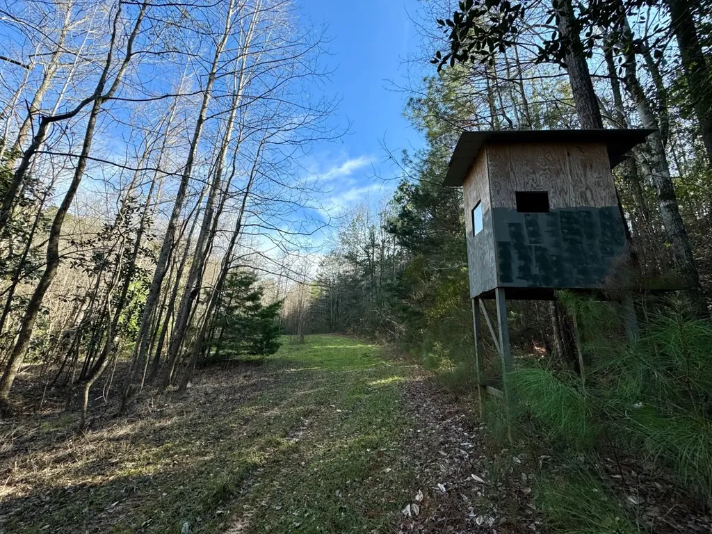 0 Pleasant Hill Road Thomasville AL 36784