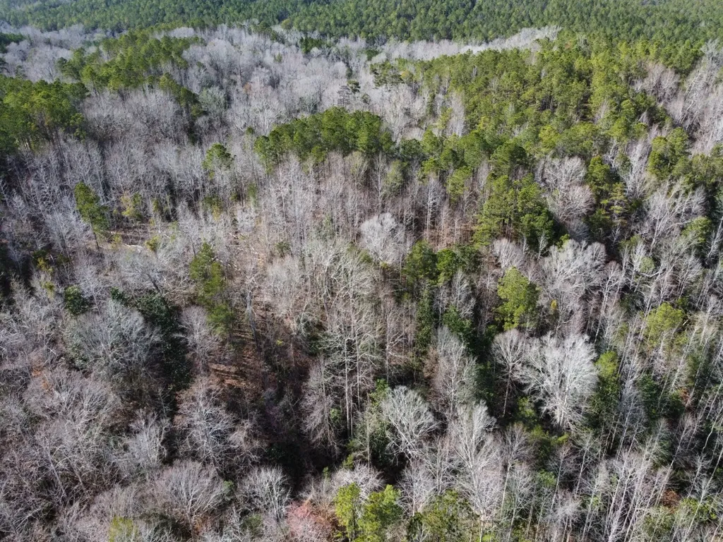 0 Pleasant Hill Road Thomasville AL 36784