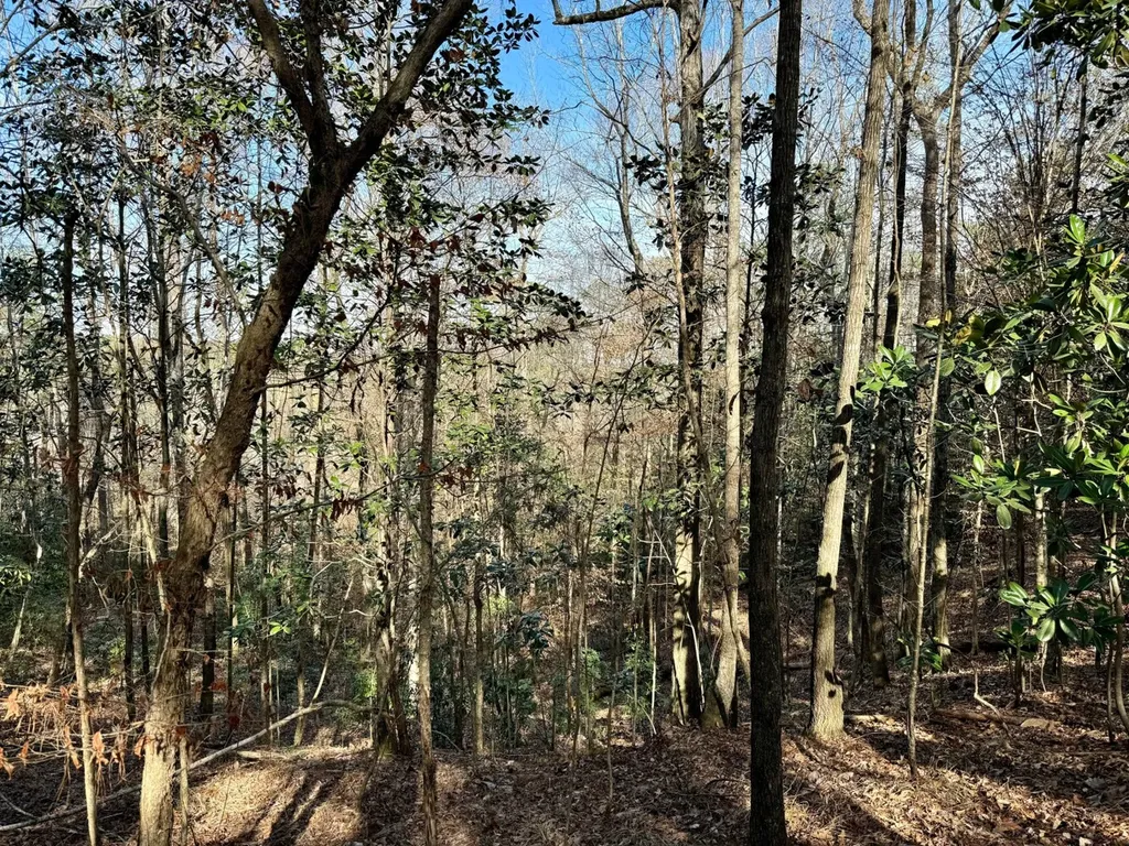 0 Pleasant Hill Road Thomasville AL 36784