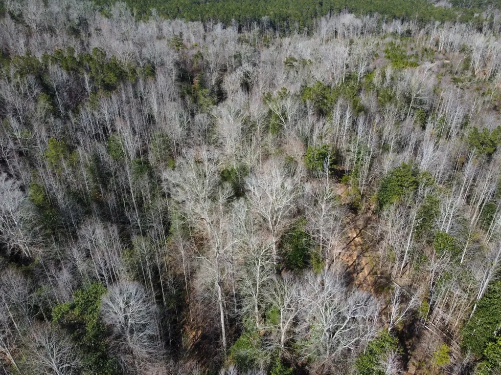 0 Pleasant Hill Road Thomasville AL 36784