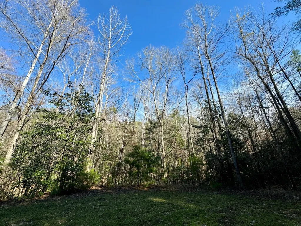 0 Pleasant Hill Road Thomasville AL 36784