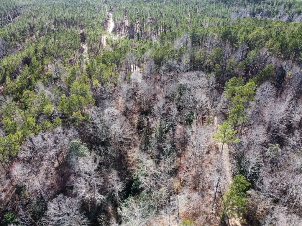 0 Pleasant Hill Road Thomasville AL 36784