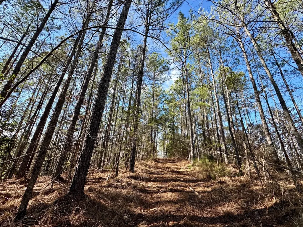 0 Pleasant Hill Road Thomasville AL 36784