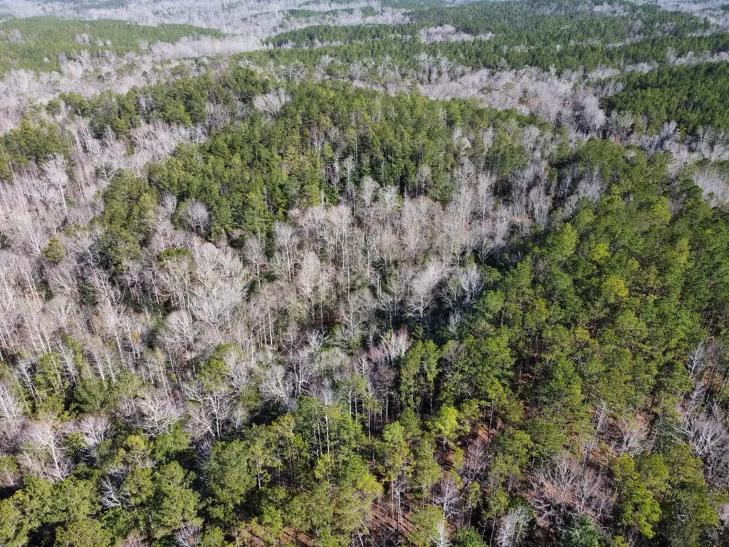 0 Pleasant Hill Road Thomasville AL 36784