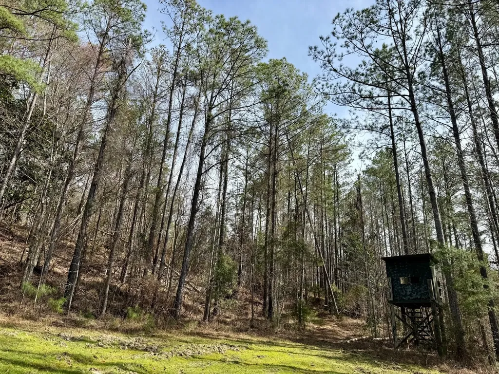 0 Pleasant Hill Road Thomasville AL 36784