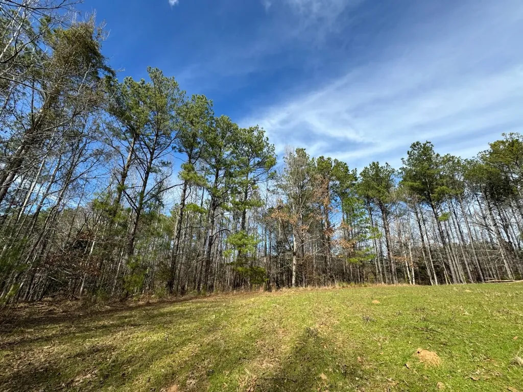 0 Pleasant Hill Road Thomasville AL 36784