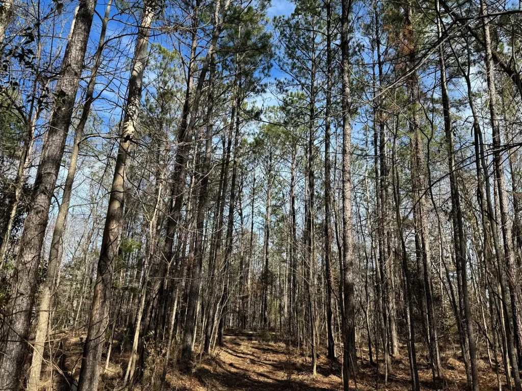 0 Pleasant Hill Road Thomasville AL 36784