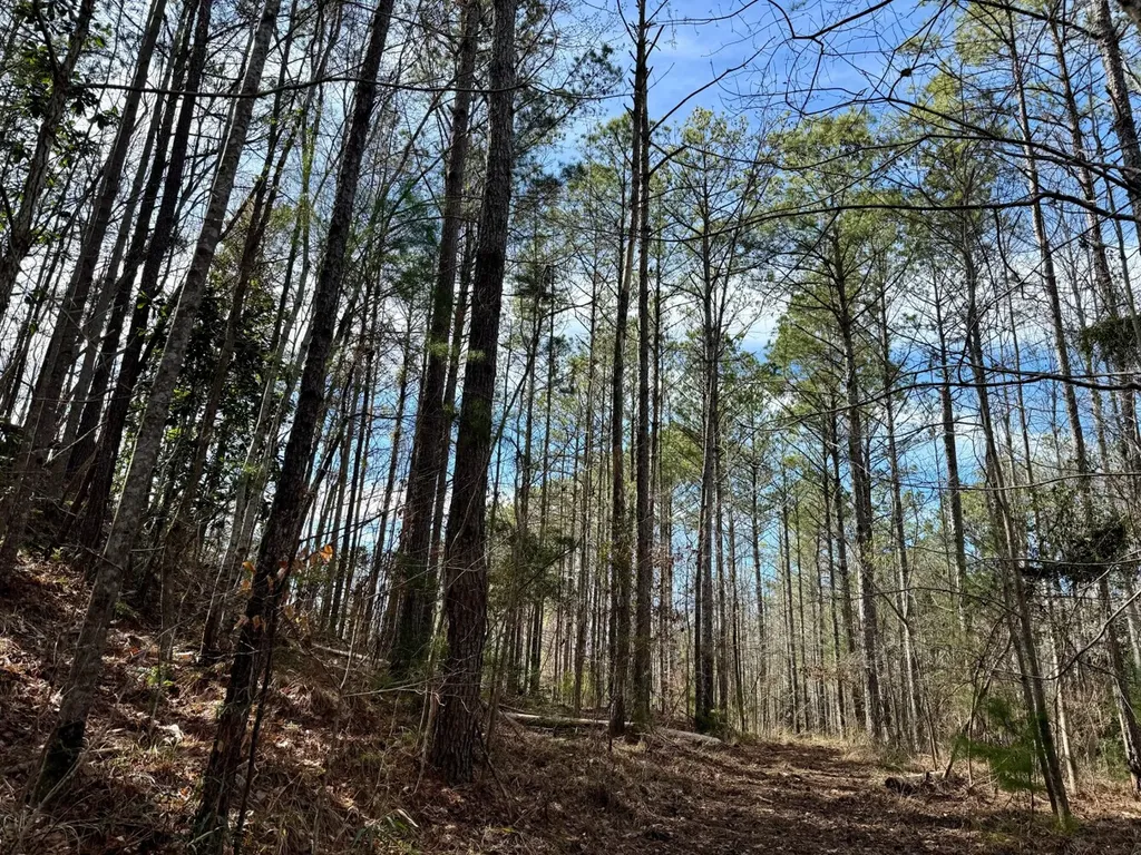 0 Pleasant Hill Road Thomasville AL 36784