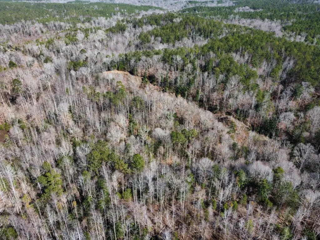 0 Pleasant Hill Road Thomasville AL 36784