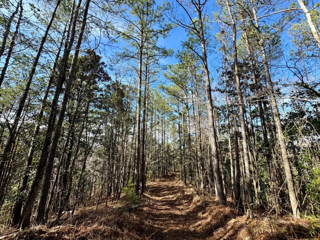 0 Pleasant Hill Road Thomasville AL 36784