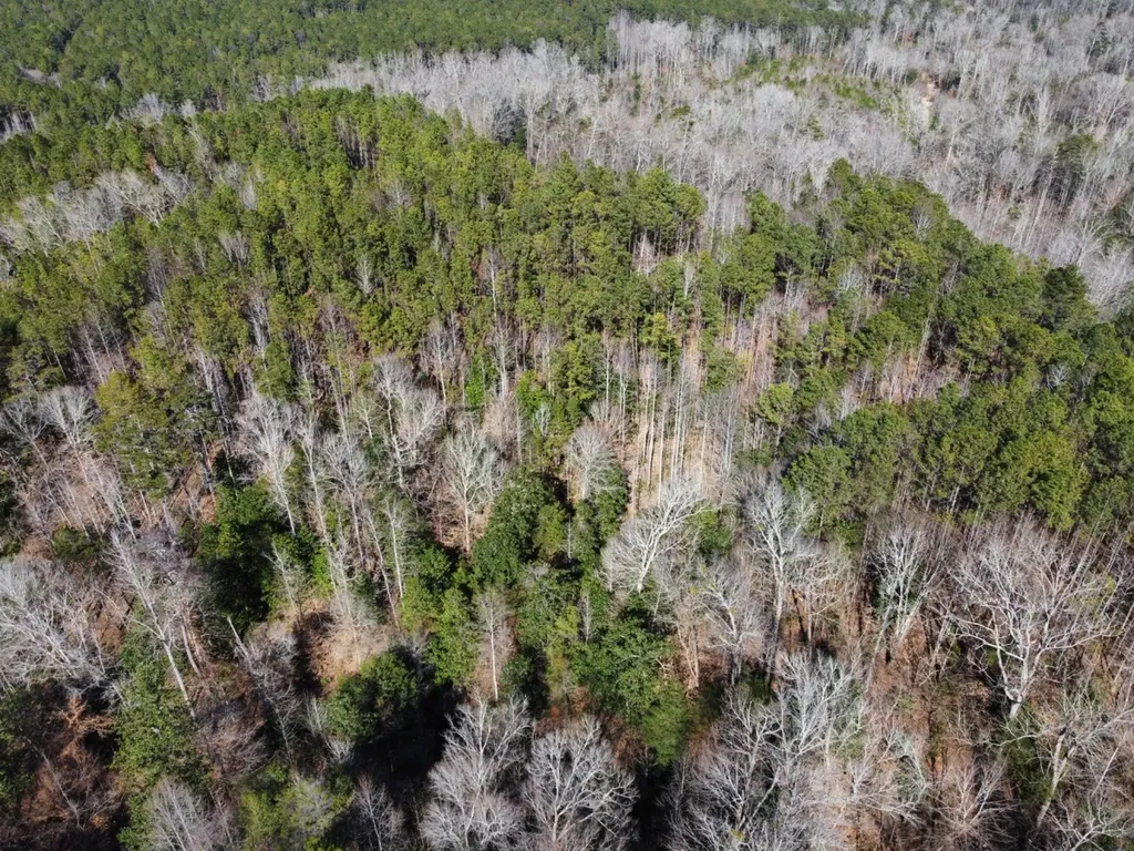 0 Pleasant Hill Road Thomasville AL 36784