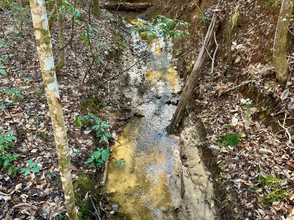 0 Pleasant Hill Road Thomasville AL 36784