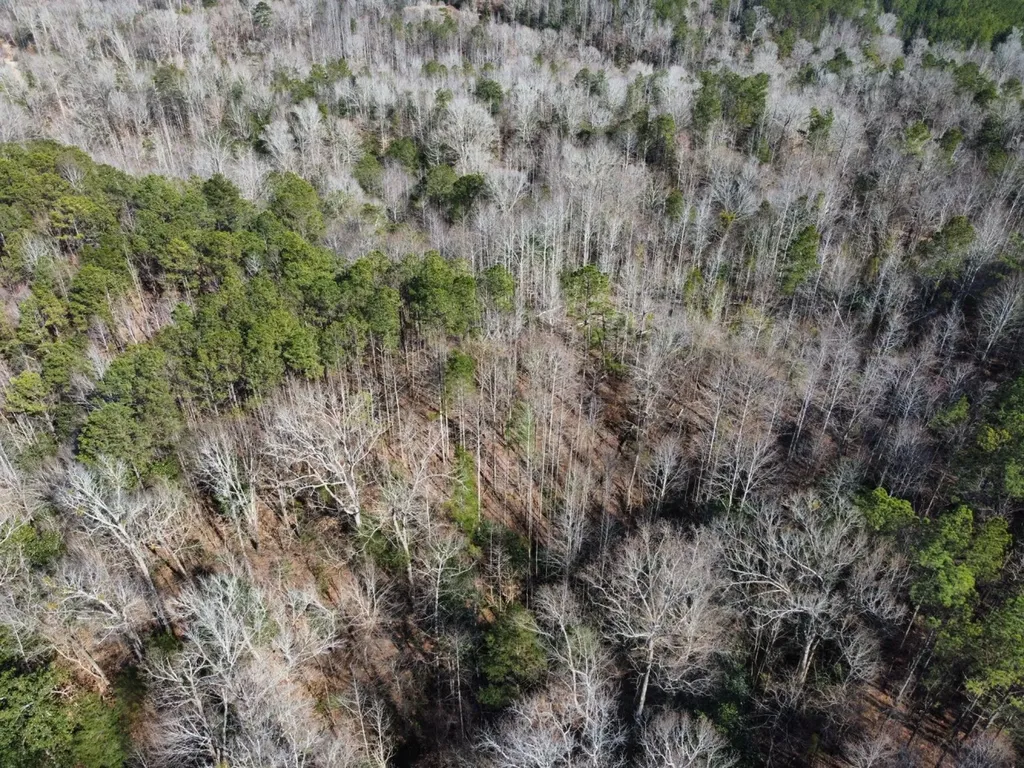 0 Pleasant Hill Road Thomasville AL 36784