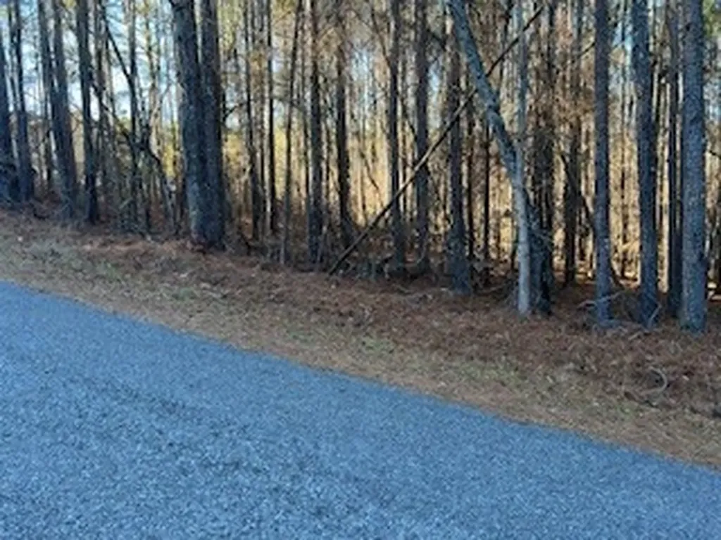 Yellow Creek Road Leesburg AL 35983