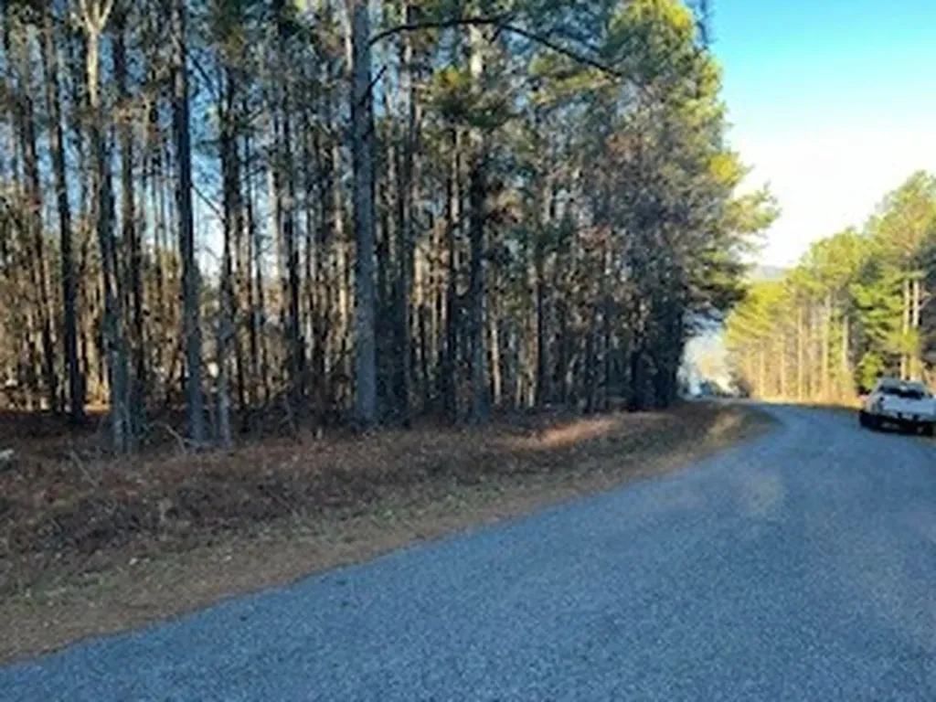 Yellow Creek Road Leesburg AL 35983