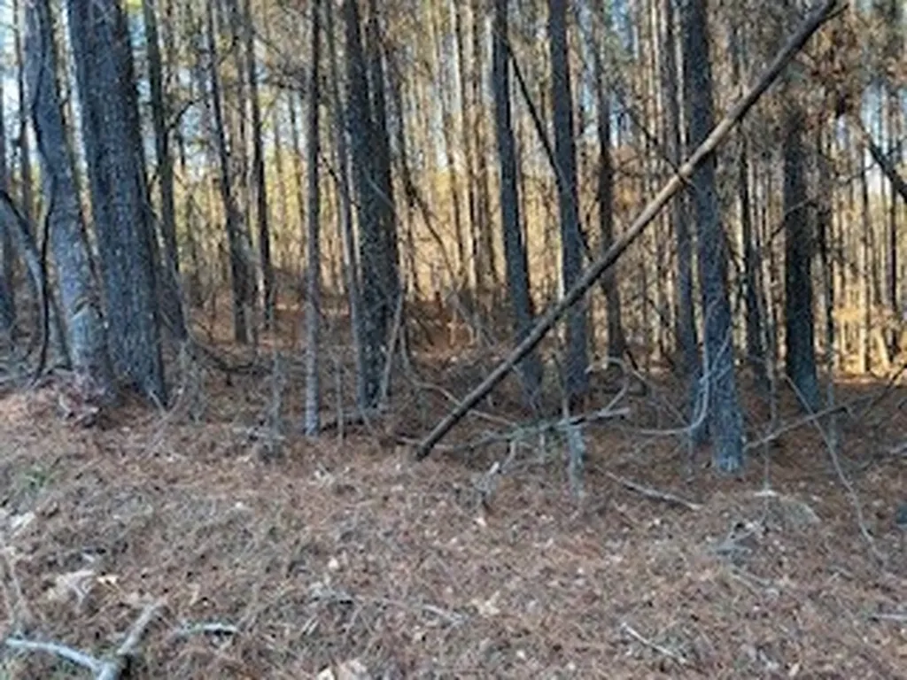 Yellow Creek Road Leesburg AL 35983