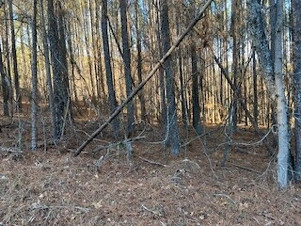 Yellow Creek Road Leesburg AL 35983