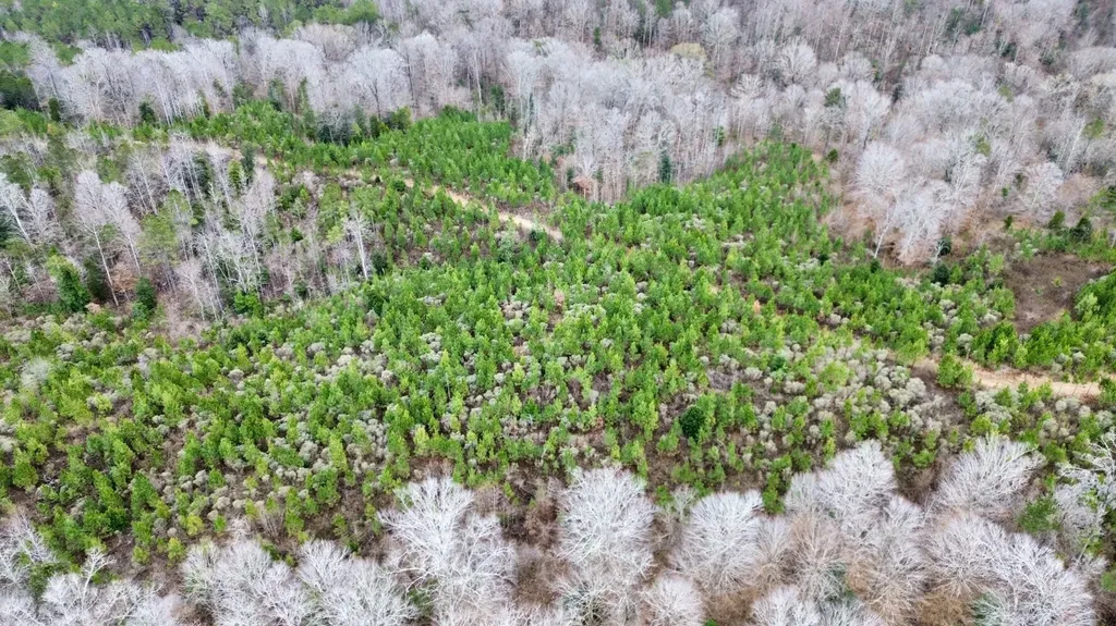 0 Shiloh Road Toxey AL 36904