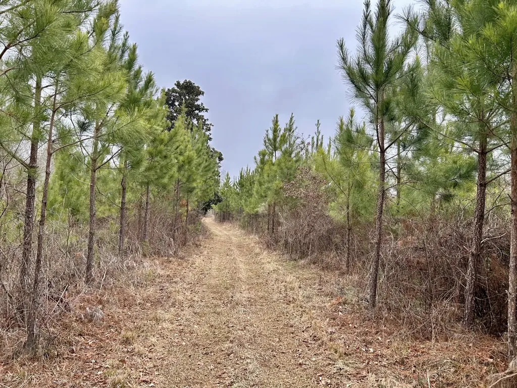 0 Shiloh Road Toxey AL 36904